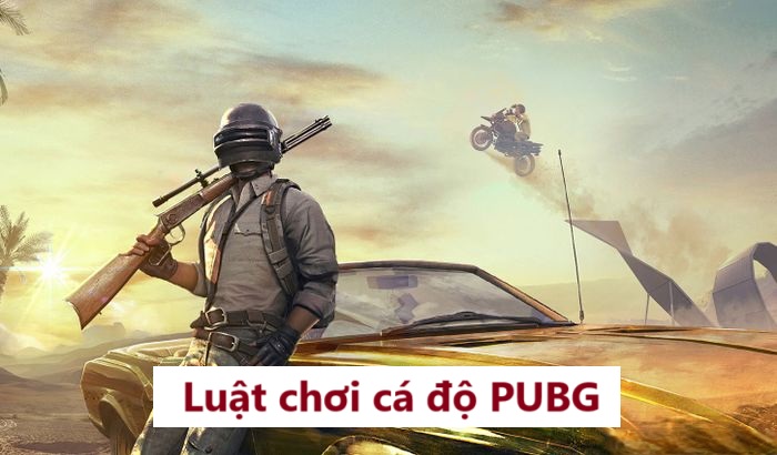 Luật chơi cá độ PUBG 