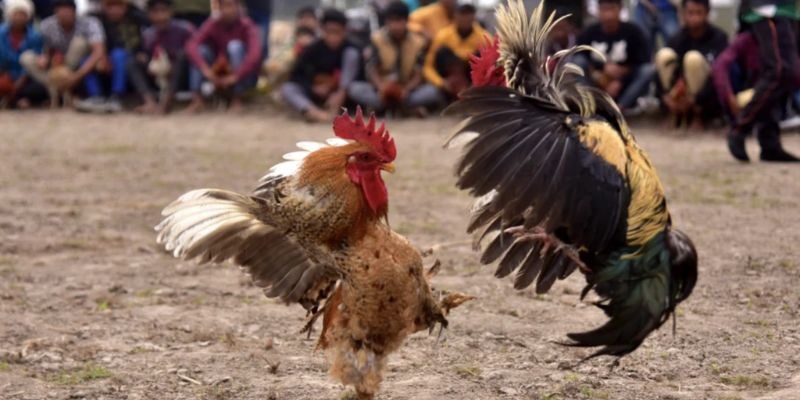 Hãy lựa chọn tỷ lệ kèo phù hợp với khả năng của bản thân 